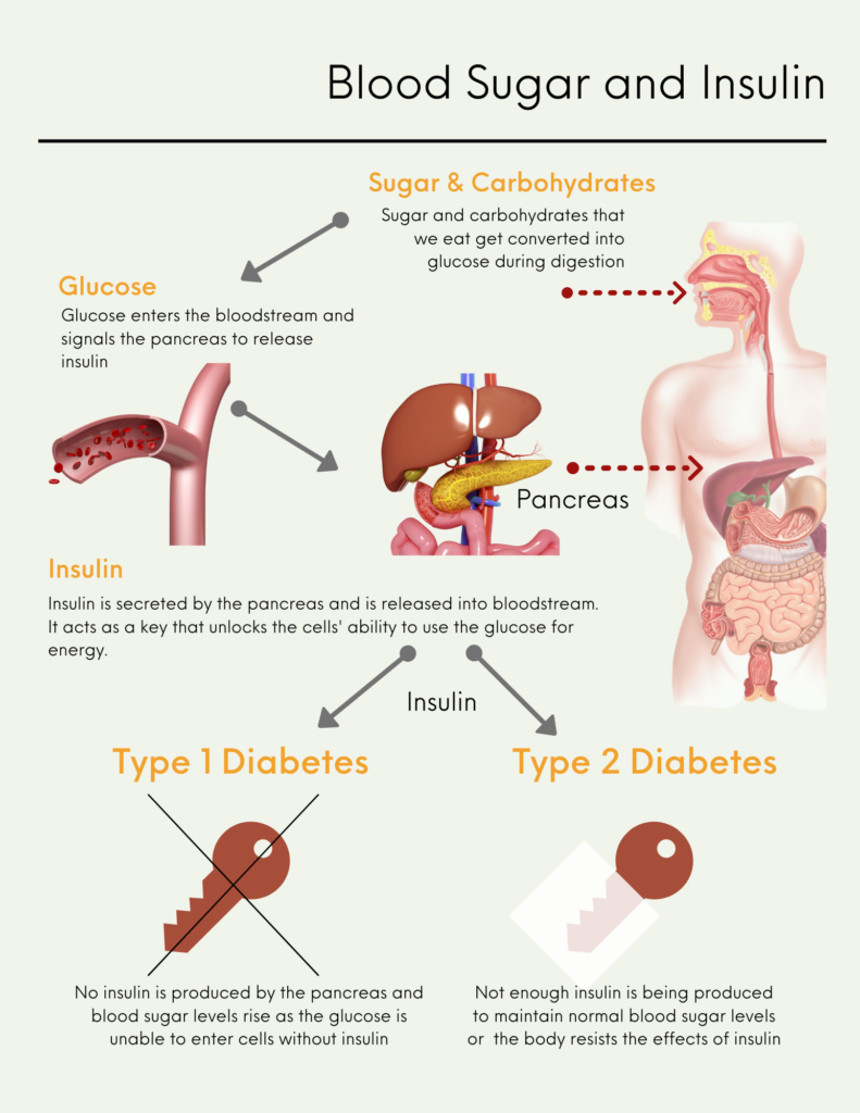Blood sugar and Insulin